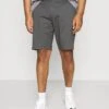 Only & Sons ONSCAM - Shorts - Grey