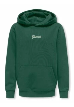 OSJHANS - Kapuzenpullover - Black -Only and Sons Verkäufe 12292da91b6b4bce87a89177860caaf7 1