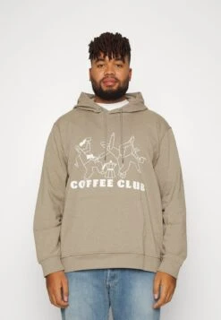 Only & Sons ONSSAN LIFE REGULAR HOODIE - Sweatshirt - Chinchilla