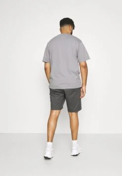 Only & Sons ONSCAM - Shorts - Grey -Only and Sons Verkäufe 5e7fbddda7394027970fc098121f8bd1