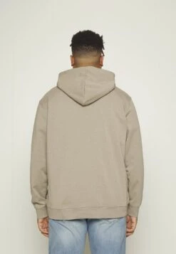 Only & Sons ONSSAN LIFE REGULAR HOODIE - Sweatshirt - Chinchilla -Only and Sons Verkäufe 741d7f47ba6a41918fb1b8cb3c42f4e8