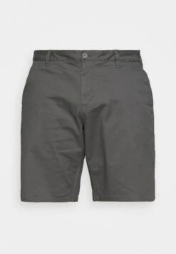Only & Sons ONSCAM - Shorts - Grey -Only and Sons Verkäufe 7914b95cfefe4749acd88cdd81682229