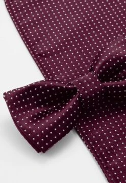 Only & Sons ONSTBOX THEO TIE SET - Einstecktuch - Cabernet/white -Only and Sons Verkäufe 9237ea2b55884d7abdb0d7f392f13b3f