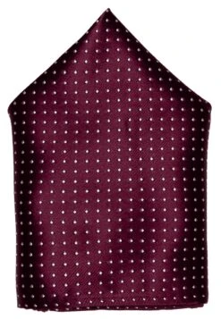 Only & Sons ONSTBOX THEO TIE SET - Einstecktuch - Cabernet/white -Only and Sons Verkäufe 9c9c964bb3184056a43f784df945355c