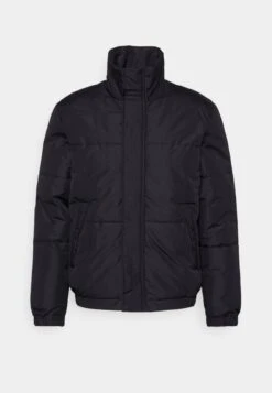 Only & Sons ONSORION QUILTED JACKET - Winterjacke - Chinchilla -Only and Sons Verkäufe c3f0af29e51e4da9b7a0802917c04ca3