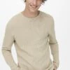 Only & Sons ONSPANTER CREW - Strickpullover - Beige